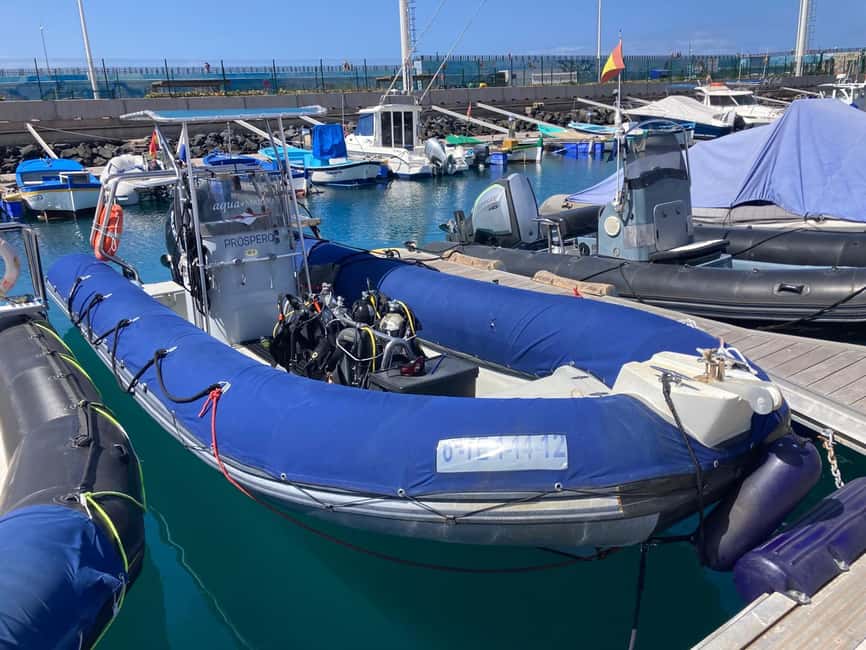 Tenerife: Snorkeling to look for Turtles and Rays - Equipment, water confidence, and help in the sea