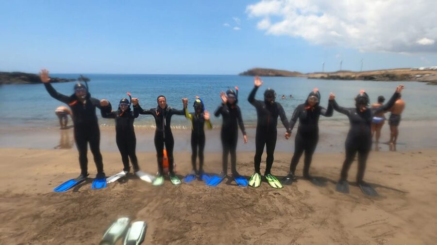 Tenerife: Snorkeling Tour in a Marine Protected Area - Who should book this experience?