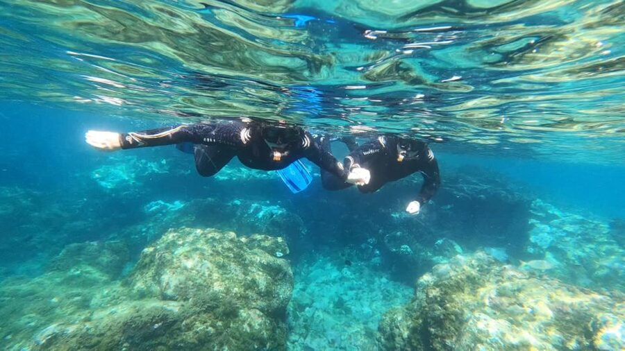 Tenerife: Snorkeling Tour in a Marine Protected Area - Why Abades is a good place to snorkel