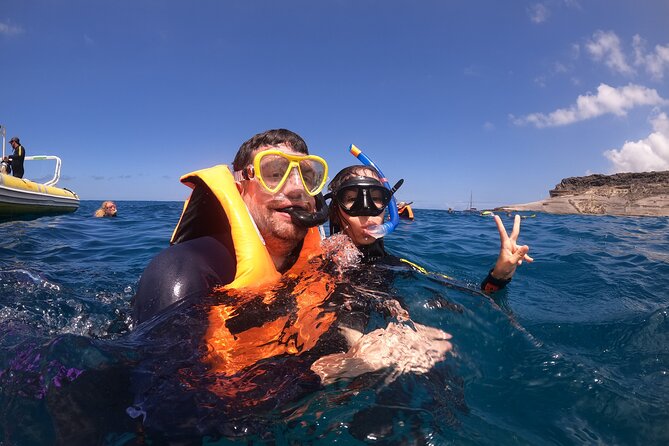 Tenerife Snorkeling Tour in turtle habitat - Starting at Costa Adeje’s Travel Sub center