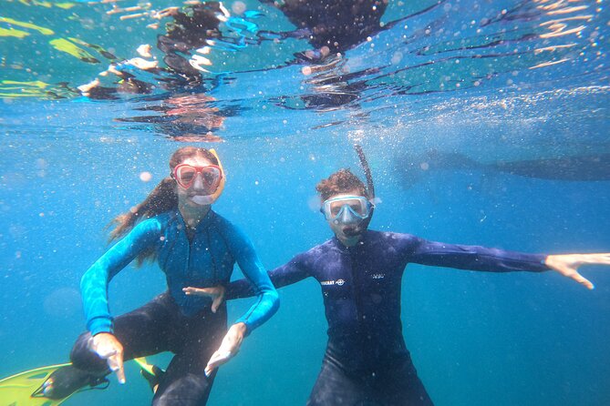 Tenerife Snorkeling Tour in turtle habitat - Showers, terrace time, and the photo question