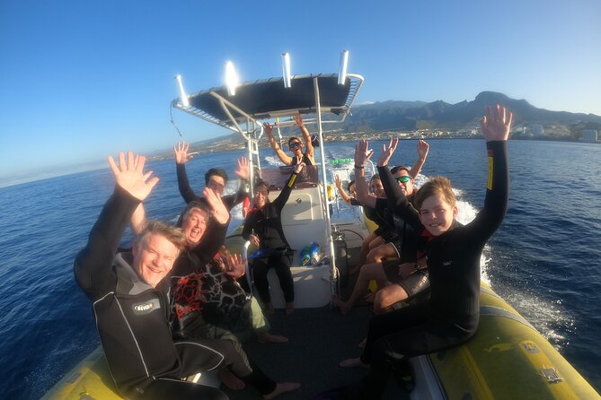 Tenerife Snorkeling Tour in turtle habitat - One hour in the turtle habitat