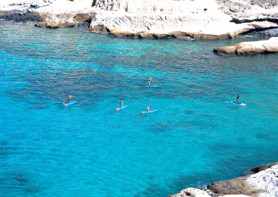 TENERIFE SUR | unforgettable SUP - SNORKELING EXPERIENCE - What the $44 price includes