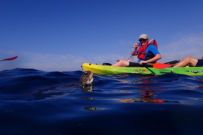 Tenerife: Turtle & Dolphin Kayak Tour with Snorkel & Wetsuit - The snorkeling stop and what you may see below