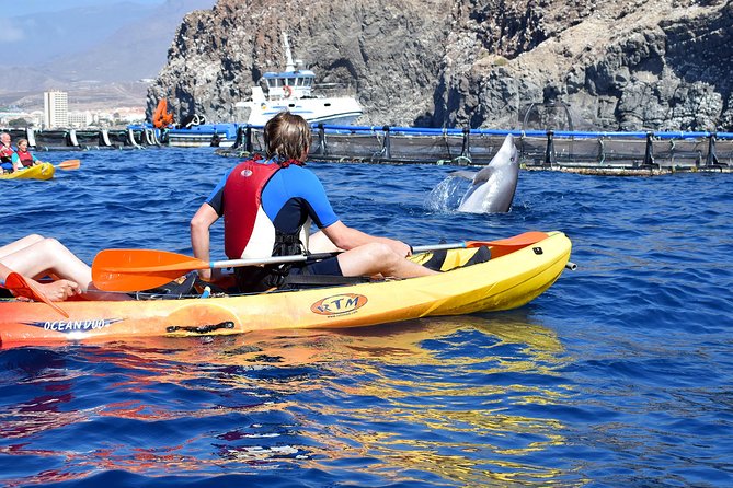 Tenerife: Turtle & Dolphin Kayak Tour with Snorkel & Wetsuit - The return with Mount Teide in view