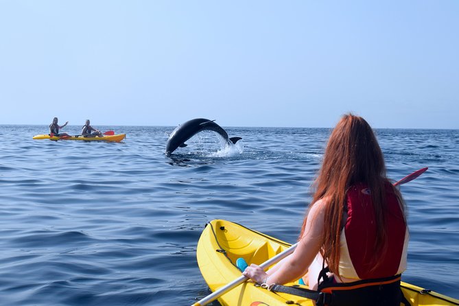 Tenerife: Turtle & Dolphin Kayak Tour with Snorkel & Wetsuit - Guides can shape the whole experience