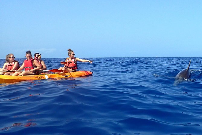 Tenerife: Turtle & Dolphin Kayak Tour with Snorkel & Wetsuit - What to bring and how to prepare