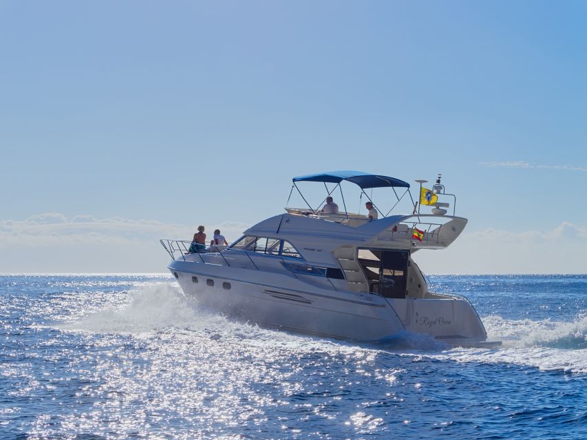 Tenerife: Whales and Snorkeling Tour on a Luxury Yacht - Who Will Enjoy This Experience Most