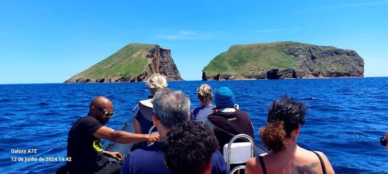 Terceira Island: Ilhéu das Cabras Boat Tour + Snorkeling - Who will enjoy this outing most?