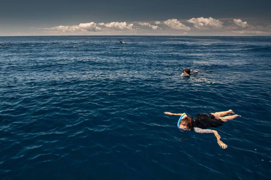 Terceira Island: Snorkeling Wildlife | Protected Areas - What This Terceira Snorkeling Trip Is Really Like