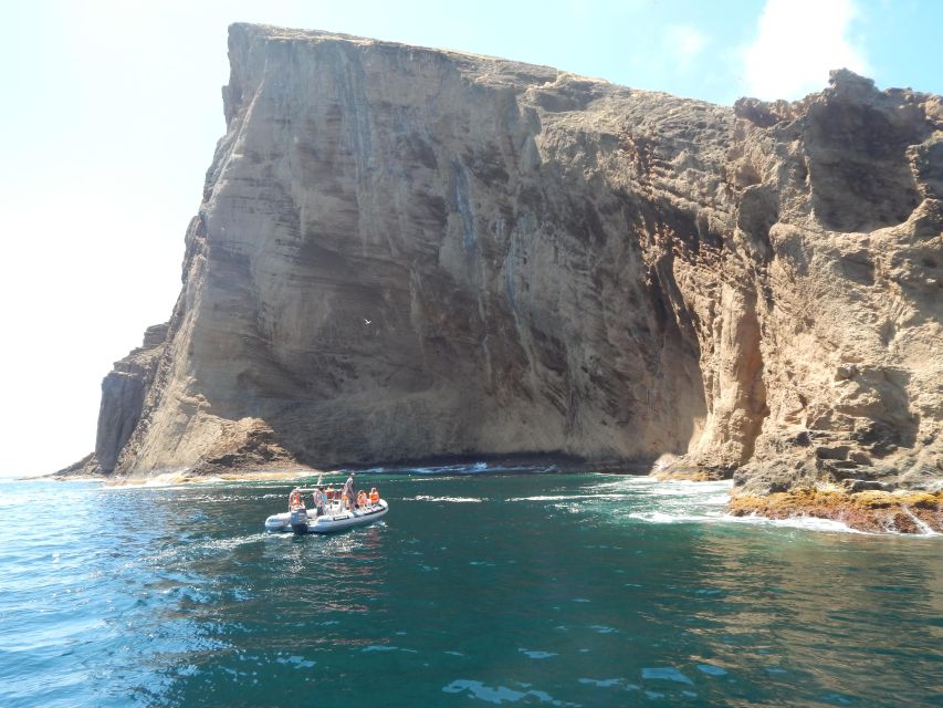 Terceira Island: Snorkeling Wildlife | Protected Areas - How the Experience Has Performed