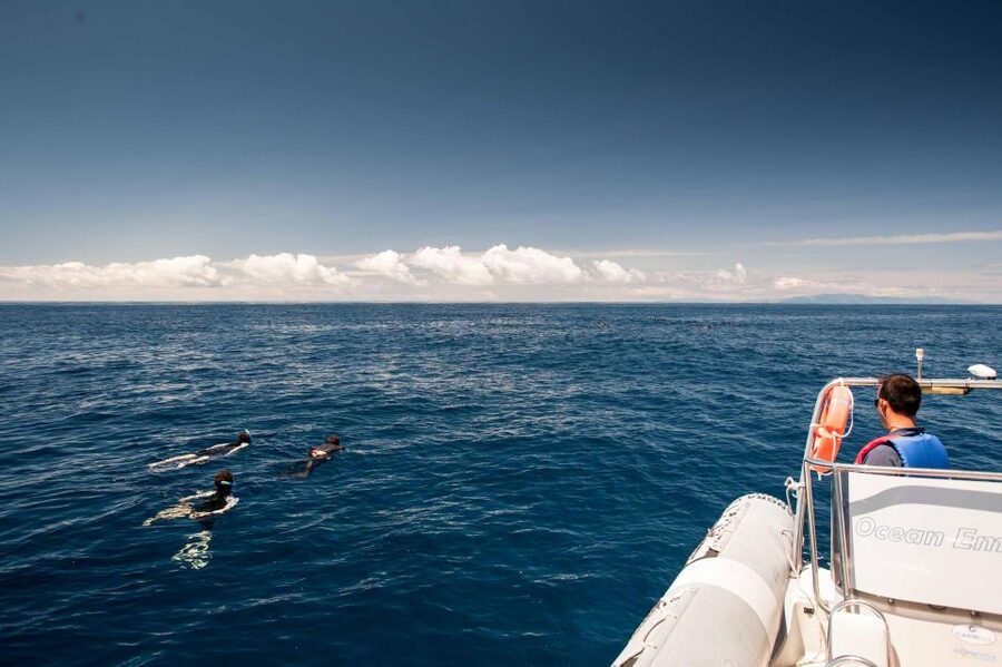 Terceira Island: Snorkeling Wildlife | Protected Areas - The First Swim in Protected Coastal Water