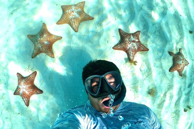 The Cozumel Turtle Sanctuary Snorkel Tour - Meeting in Downtown Cozumel