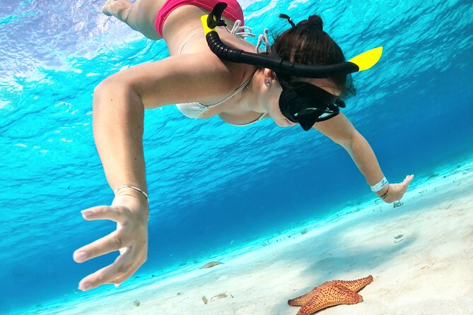 The Cozumel Turtle Sanctuary Snorkel Tour - The boat ride to Colombia and Palancar Reef