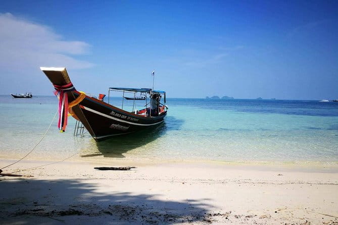 The Pigs Island snorkeling trip from Koh Samui by Speedboat - Koh Taen: two chances to see the reef
