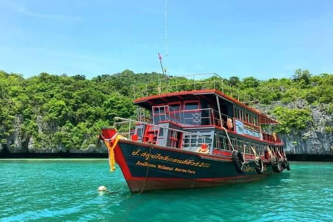 The Pigs Island snorkeling trip from Koh Samui by Speedboat - What the $58 price really covers