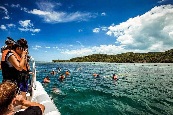 The Pigs Island snorkeling trip from Koh Samui by Speedboat - The reef question: beautiful water, mixed conditions