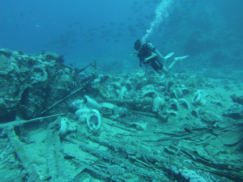 Tiran Island: Full-day Snorkeling, Diving Boat Trip - What the reef stops are like