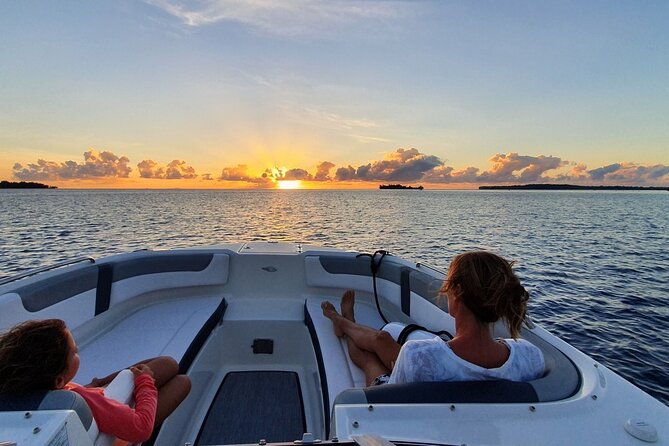 Tohora Bora Bora Snorkeling Lagoon Tours - The possibility of sharks and whale songs