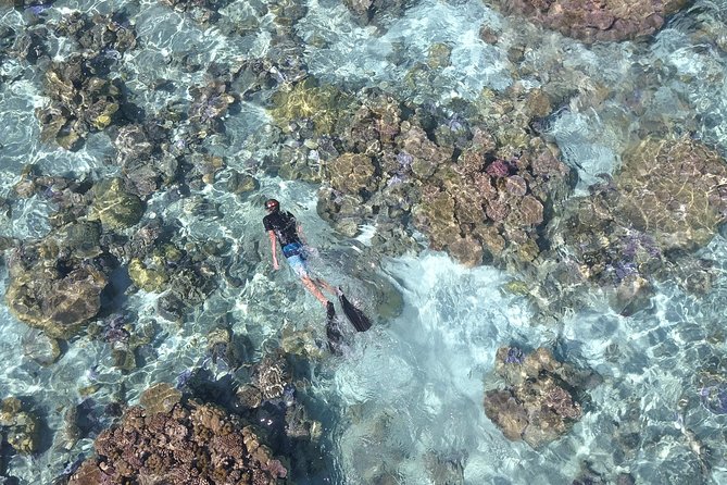 Tohora Bora Bora Snorkeling Lagoon Tours - Is $179.52 a fair price?