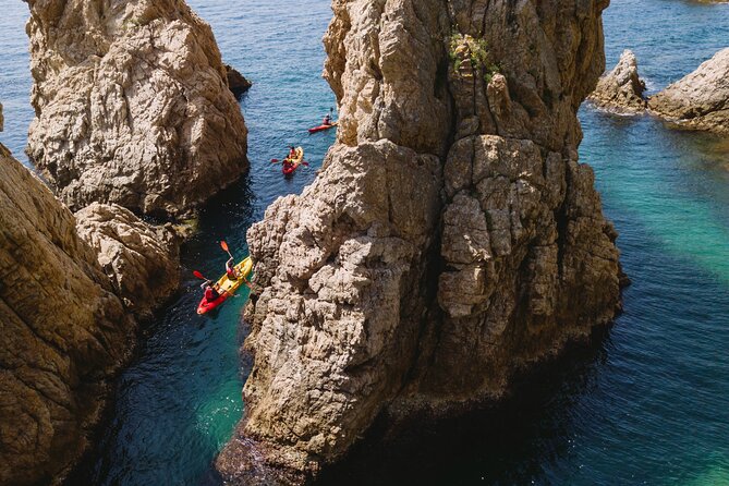 Tossa de Mar: Kayak & Snorkel Tour with Paella from Barcelona - Snorkeling, swimming, and looking for sea life