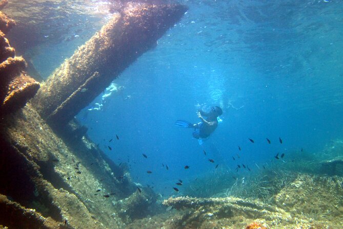 Tour to Figarolo Island with the possibility to observe dolphins - Capo Figari, Capo Ceraso, and Cala Moresca