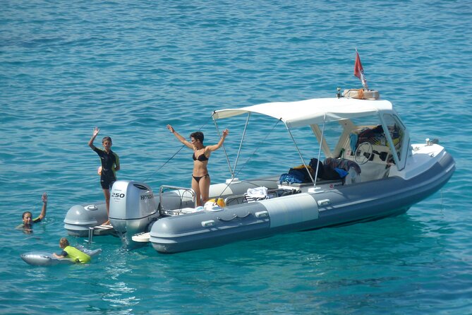 Tour to Figarolo Island with the possibility to observe dolphins - Is $72.59 good value?