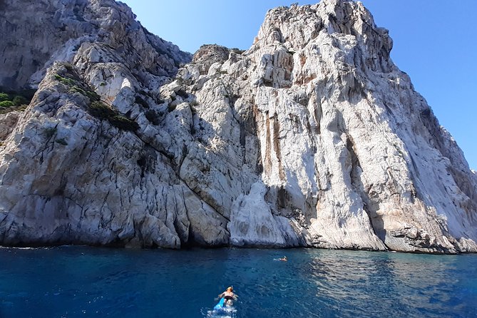 Tour to Figarolo Island with the possibility to observe dolphins - Who should book this Olbia boat trip?