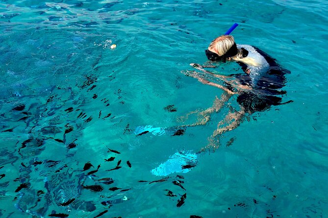 Tour to Figarolo Island with the possibility to observe dolphins - Booking details that matter