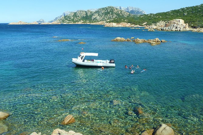 Tour to Figarolo Island with the possibility to observe dolphins - Should you book it?