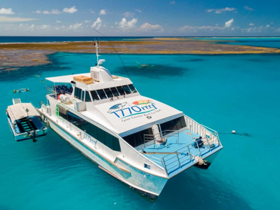 Town of 1770: Lady Musgrave Island Snorkelling Day Cruise - Key points at a glance