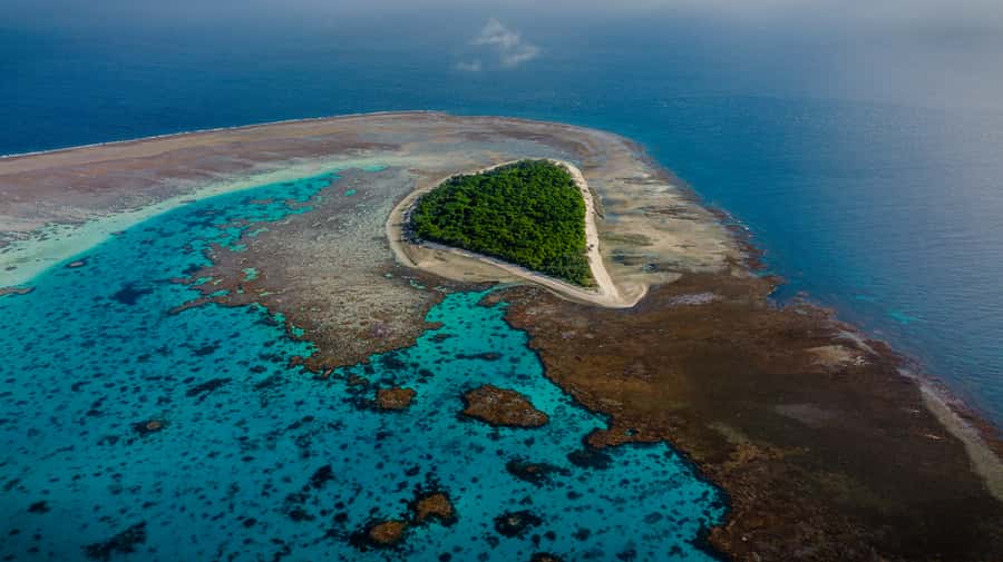 Town of 1770: Lady Musgrave Island Snorkelling Day Cruise - Why Lady Musgrave Island makes a strong reef day trip