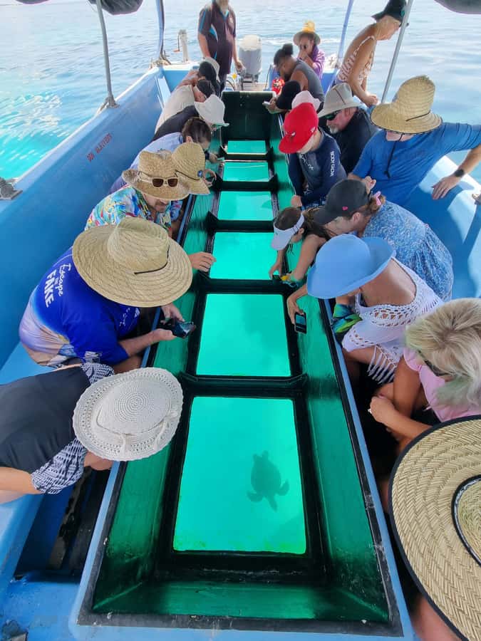 Town of 1770: Lady Musgrave Island Snorkelling Day Cruise - Walking across the coral cay
