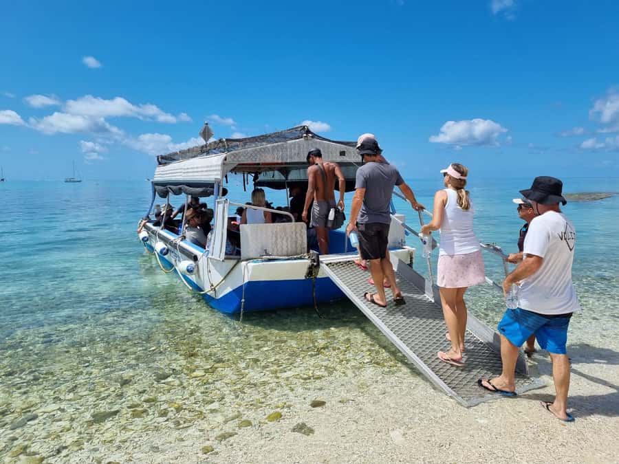 Town of 1770: Lady Musgrave Island Snorkelling Day Cruise - Who should book this Lady Musgrave day trip?
