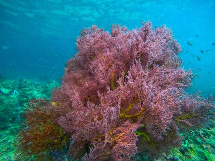 Trang: Emerald Cave, Kradan, Chueak Snorkeling Boat Trip - What the eight-hour schedule feels like