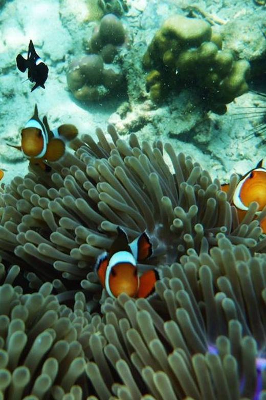 Trang: Emerald Cave, Kradan, Chueak Snorkeling Boat Trip - Koh Kradan gives the day a slower middle