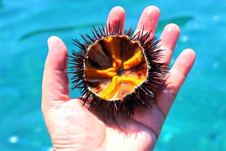 Tropea: Scoglio delle Sirene Snorkeling Cruise with Aperitif - The first swim and snorkeling stop