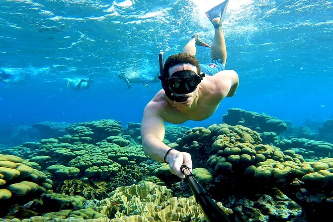 Tropical Dream Snorkel and Dinner Sail in Aruba - A private sailing day from Varadero Marina