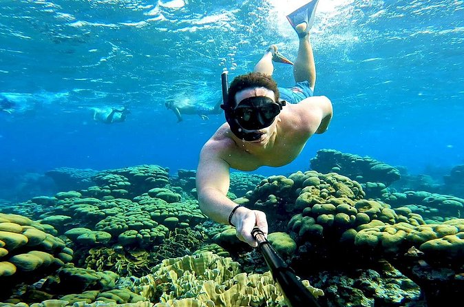 Tropical Dream Snorkel and Dinner Sail in Aruba - Who should book this charter?