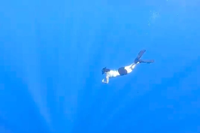 Tropical Reef & Wildlife Boat Snorkel Adventure - Cancellation terms and planning flexibility