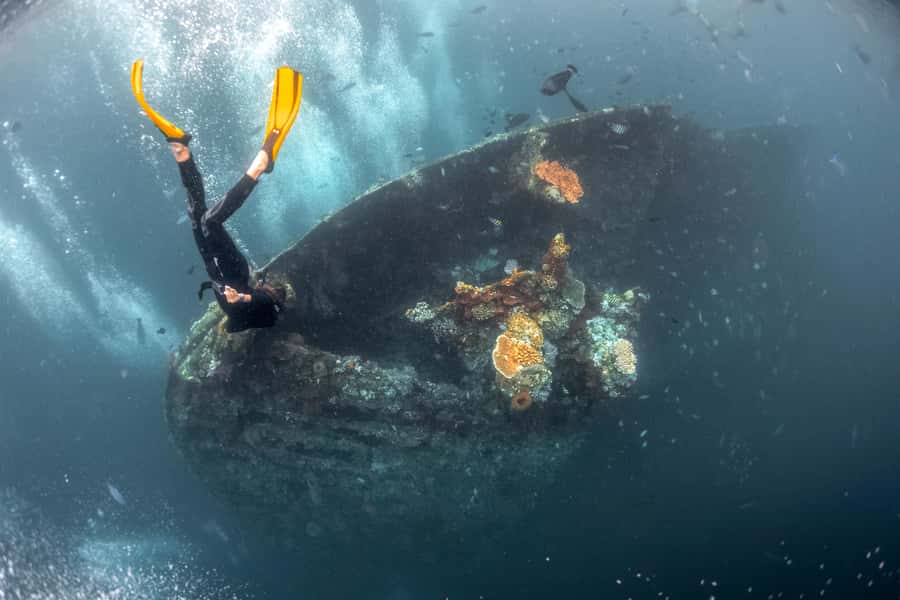 Tulamben: USAT Liberty Shipwreck Full-Day Snorkeling Trip - What you may see around the wreck