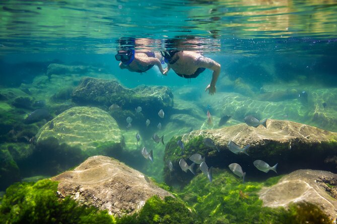 Tulum Guided Tour, Magical Cenote, Lagoon Snorkeling and Beachside Lunch - Who should book this Tulum day trip?