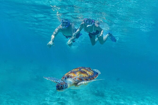Tulum, Snorkeling with Sea Turtles, Cenote and Beachside Lunch - Why this Tulum day combines so much