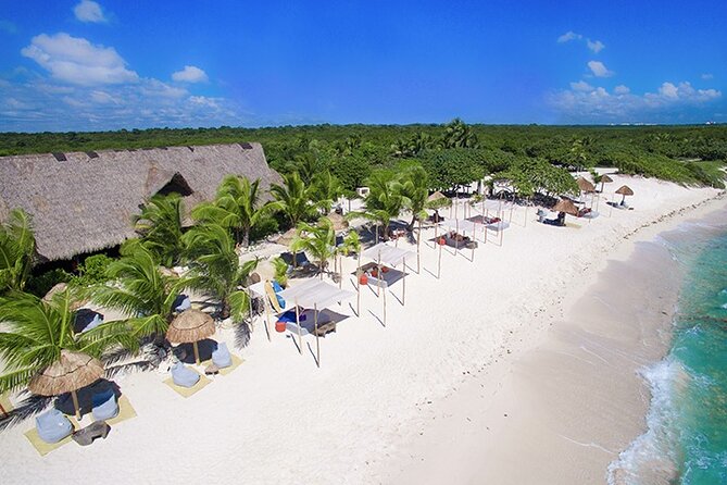 Tulum, Snorkeling with Sea Turtles, Cenote and Beachside Lunch - Akumal Beach: close turtle encounters, crowded water