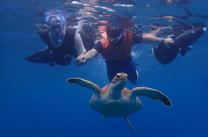 Turtle Beach Power Snorkeling Adventure - Following the guide through coral and fish