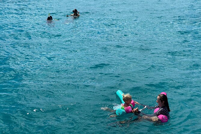 Turtle Canyon Snorkel Adventure in Waikiki, Oahu - Finding turtles at the cleaning station