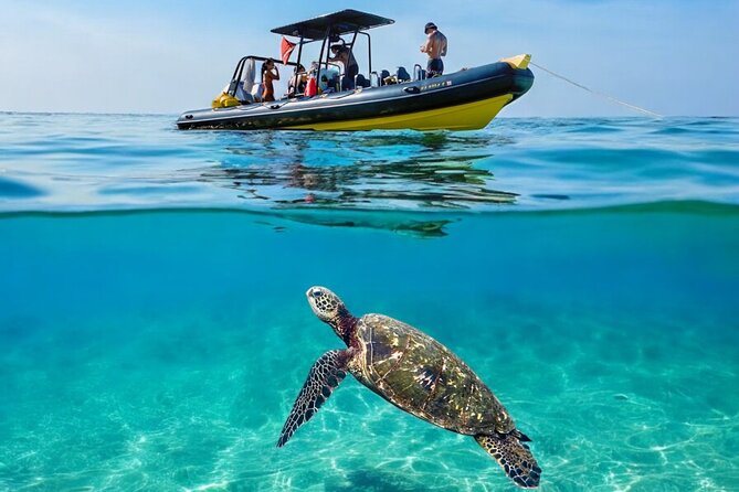 Turtle Canyon Snorkel Adventure - Small Group 6 Passengers - Why the six-person limit changes the whole outing