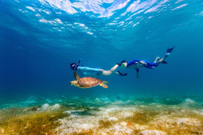 Turtle Canyon Snorkel Adventure - Small Group 6 Passengers - Turtle Canyon: what the snorkel is really like