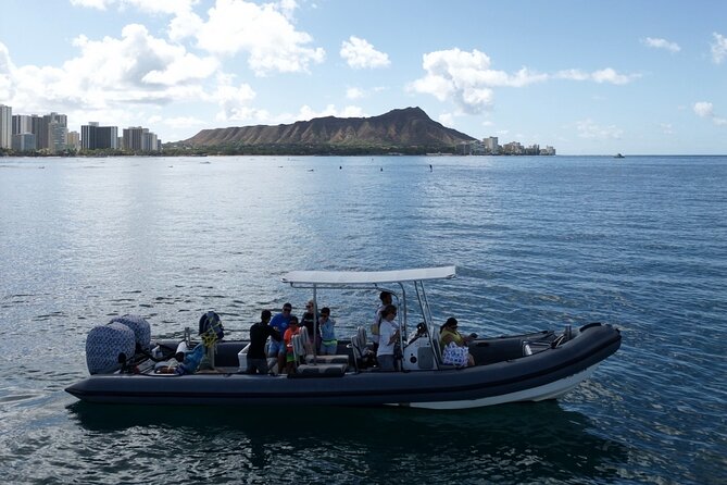 Turtle Canyon Snorkel: Semi Private Boat Tour - Snorkeling at Turtle Canyon