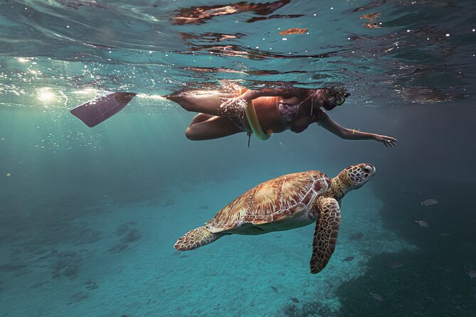 Turtle Snorkeling Aruba: Private Tour with Video - Is $135 per person a fair price?